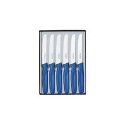 Coffret 6 Couteaux De Table Manche Bleu