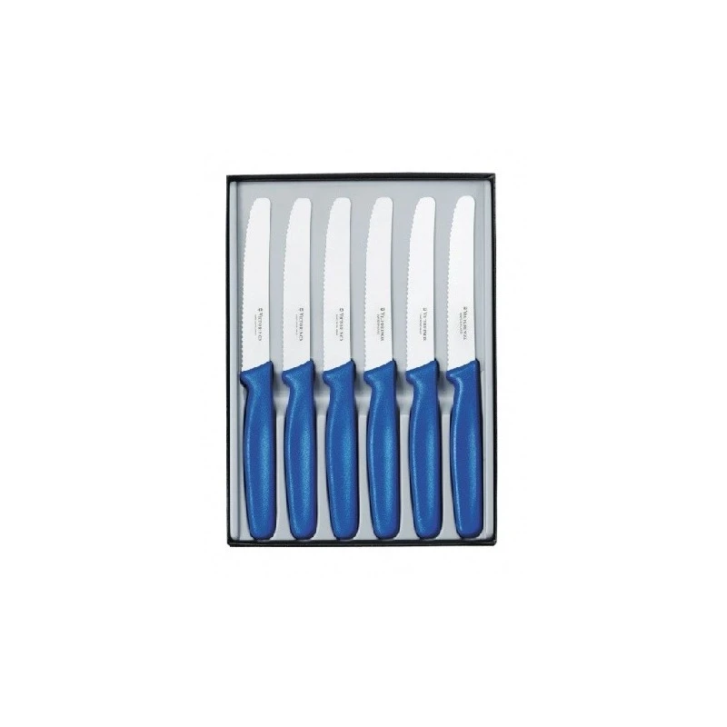 Coffret 6 Couteaux De Table Manche Bleu 1 Coffret 6 Couteaux De Table Manche Bleu
